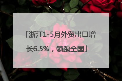 浙江1-5月外贸出口增长6.5%，领跑全国