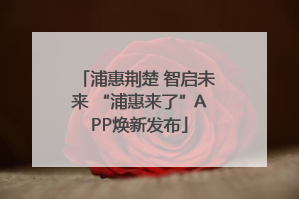 浦惠荆楚 智启未来 “浦惠来了”APP焕新发布
