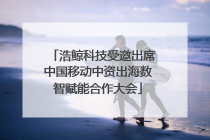 浩鲸科技受邀出席中国移动中资出海数智赋能合作大会