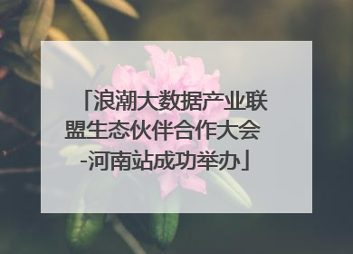 浪潮大数据产业联盟生态伙伴合作大会-河南站成功举办