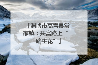 淄博市高青县常家镇：共富路上“一路生花”