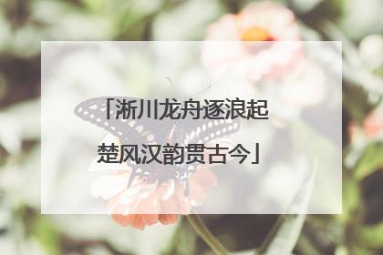 淅川龙舟逐浪起 楚风汉韵贯古今