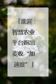 淮滨：智慧农业平台跑出麦收“加速度”