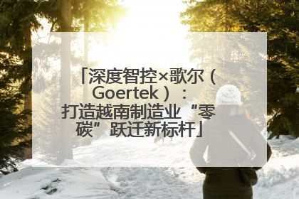 深度智控×歌尔（Goertek）：打造越南制造业“零碳”跃迁新标杆