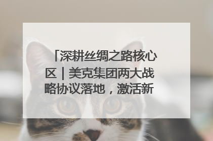 深耕丝绸之路核心区｜美克集团两大战略协议落地，激活新疆开放新动能