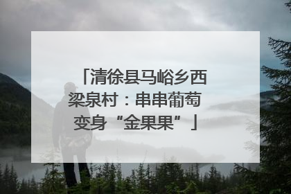 清徐县马峪乡西梁泉村：串串葡萄变身“金果果”