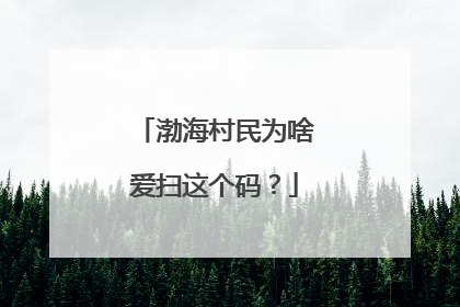 渤海村民为啥爱扫这个码？