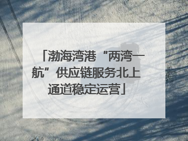 渤海湾港“两湾一航”供应链服务北上通道稳定运营