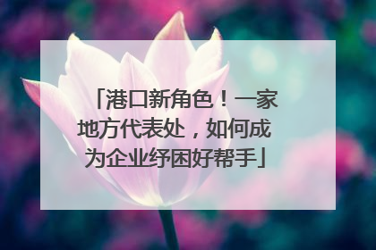 港口新角色！一家地方代表处，如何成为企业纾困好帮手
