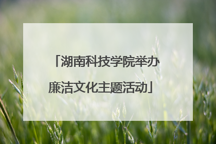湖南科技学院举办廉洁文化主题活动