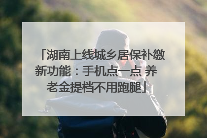 湖南上线城乡居保补缴新功能：手机点一点 养老金提档不用跑腿