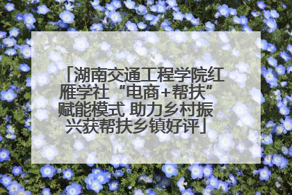 湖南交通工程学院红雁学社“电商+帮扶”赋能模式 助力乡村振兴获帮扶乡镇好评