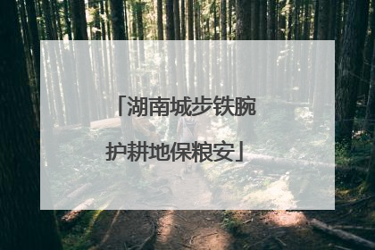 湖南城步铁腕护耕地保粮安