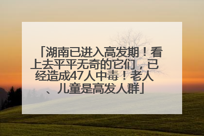 湖南已进入高发期！看上去平平无奇的它们，已经造成47人中毒！老人、儿童是高发人群