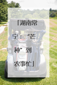 湖南常宁：“芒种”到 农事忙