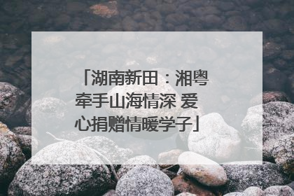 湖南新田：湘粤牵手山海情深 爱心捐赠情暖学子