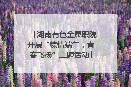 湖南有色金属职院开展“粽情端午，青春飞扬”主题活动