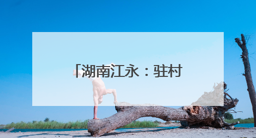 湖南江永：驻村轮换“传帮带” 乡村振兴承新篇