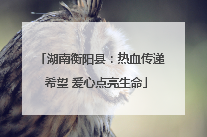 湖南衡阳县：热血传递希望 爱心点亮生命