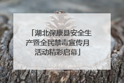 湖北保康县安全生产暨全民禁毒宣传月活动精彩启幕