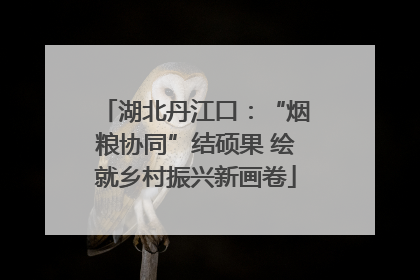 湖北丹江口：“烟粮协同”结硕果 绘就乡村振兴新画卷