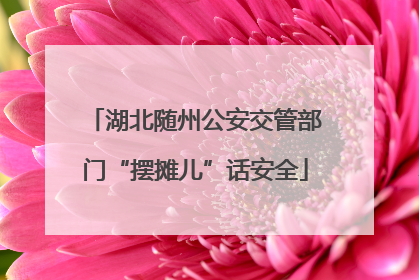 湖北随州公安交管部门“摆摊儿”话安全