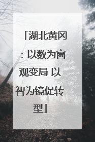 湖北黄冈：以数为窗观变局 以智为镜促转型