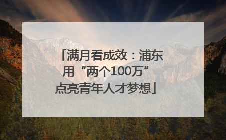 满月看成效：浦东用“两个100万”点亮青年人才梦想