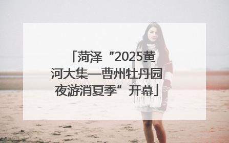 菏泽“2025黄河大集—曹州牡丹园夜游消夏季”开幕