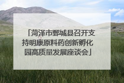 菏泽市鄄城县召开支持明康原料药创新孵化园高质量发展座谈会