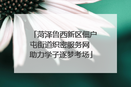 菏泽鲁西新区佃户屯街道织密服务网 助力学子逐梦考场
