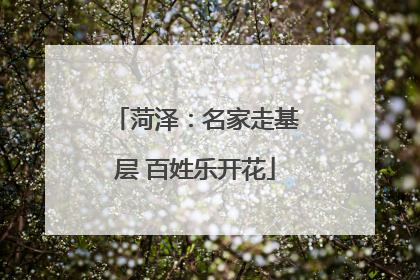 菏泽：名家走基层 百姓乐开花
