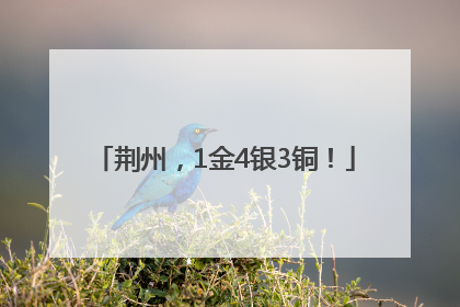 荆州，1金4银3铜！
