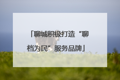 聊城积极打造“聊档为民”服务品牌