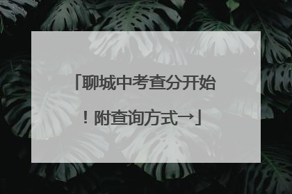 聊城中考查分开始！附查询方式→
