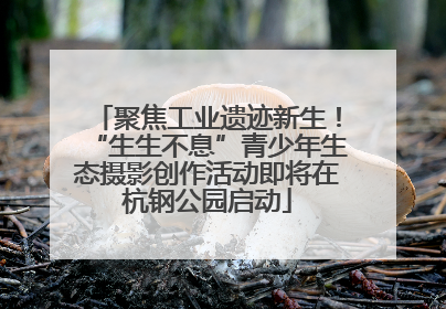 聚焦工业遗迹新生！“生生不息”青少年生态摄影创作活动即将在杭钢公园启动