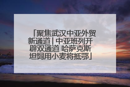 聚焦武汉中亚外贸新通道│中亚班列开辟双通道 哈萨克斯坦饲用小麦将抵鄂