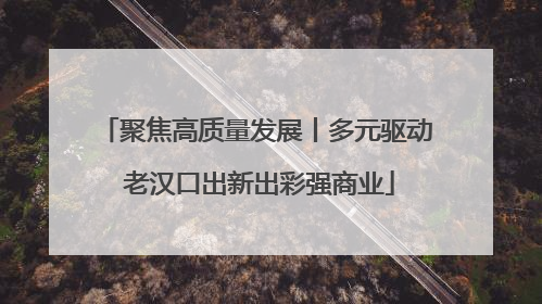 聚焦高质量发展丨多元驱动 老汉口出新出彩强商业