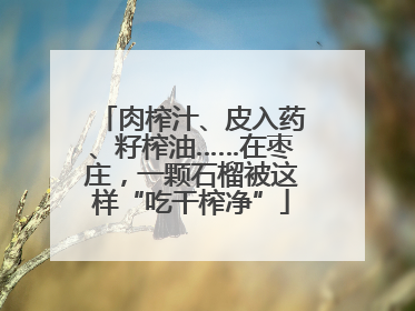 肉榨汁、皮入药、籽榨油……在枣庄，一颗石榴被这样“吃干榨净”