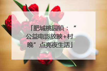 肥城桃园镇：“公益电影放映+村晚”点亮夜生活