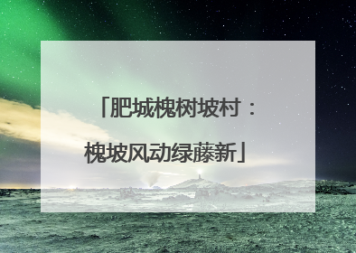 肥城槐树坡村：槐坡风动绿藤新