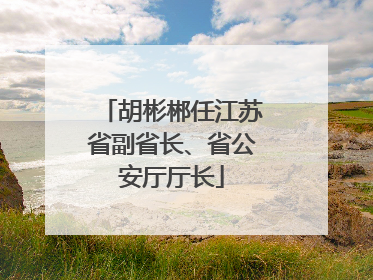 胡彬郴任江苏省副省长、省公安厅厅长