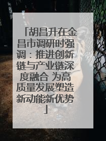 胡昌升在金昌市调研时强调：推进创新链与产业链深度融合 为高质量发展塑造新动能新优势