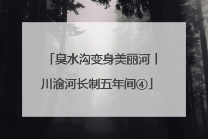 臭水沟变身美丽河丨川渝河长制五年间④