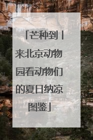 芒种到丨来北京动物园看动物们的夏日纳凉图鉴