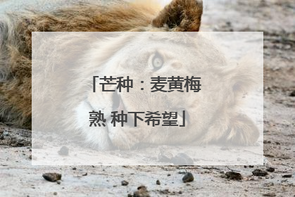 芒种：麦黄梅熟 种下希望