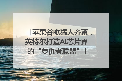苹果谷歌猛人齐聚，英特尔打造AI芯片界的“复仇者联盟”