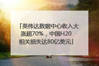 英伟达数据中心收入大涨超70%，中国H20相关损失达80亿美元