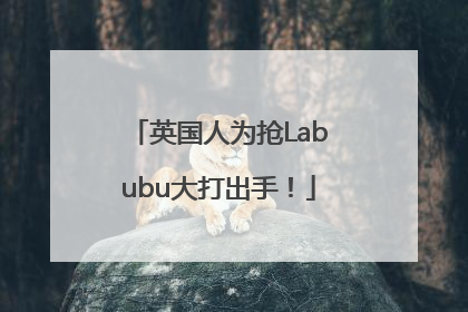 英国人为抢Labubu大打出手！