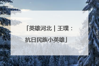 英雄河北｜王璞：抗日民族小英雄